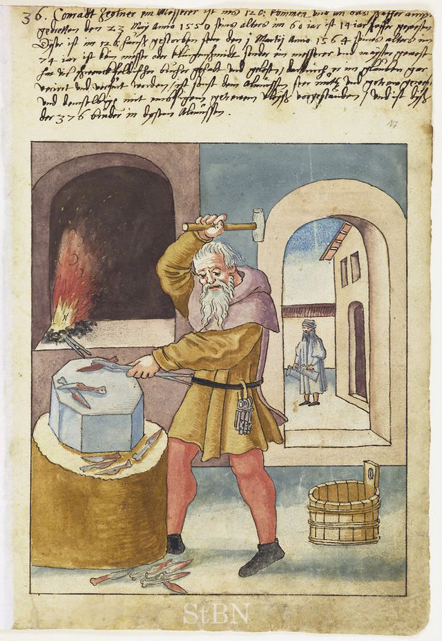 Mendel_II_017_r